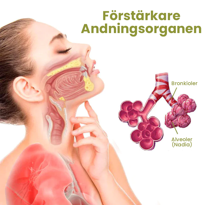 BreatheWell Naturlig örtspray för stöd av lungor och andningsväga